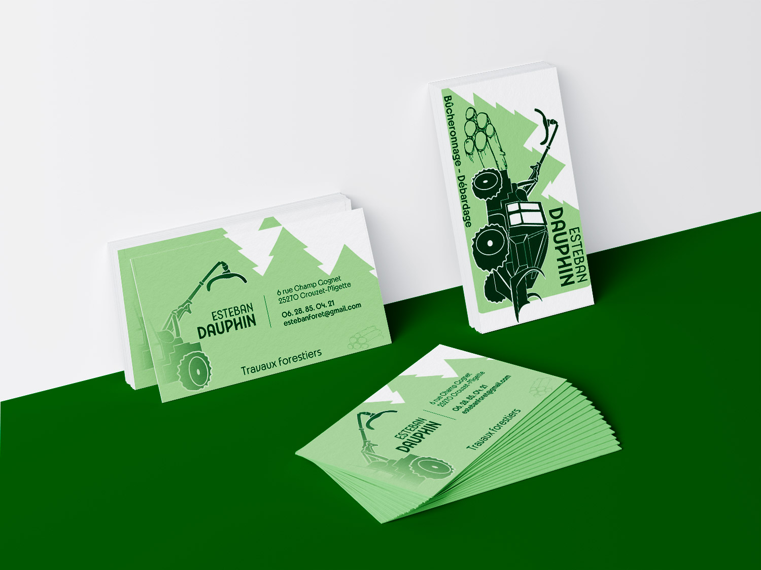 CARTE-DE-VISITE-ESTEBAN-DAUPHIN